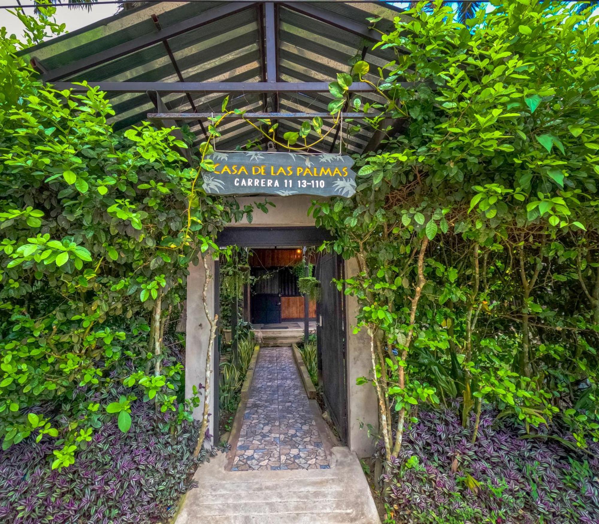 לטיסייה Hostel Casa De Las Palmas Tours מראה חיצוני תמונה