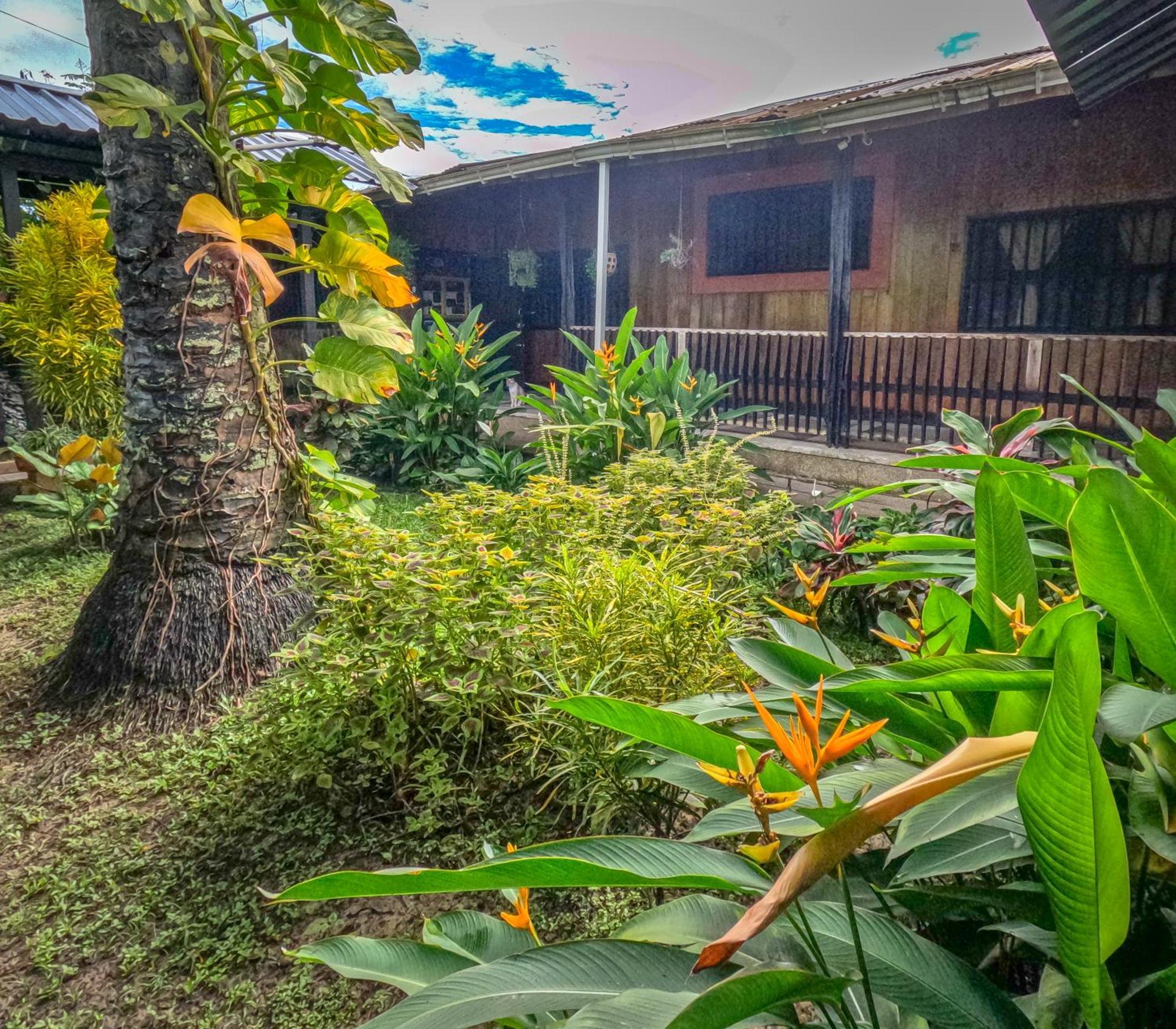 לטיסייה Hostel Casa De Las Palmas Tours מראה חיצוני תמונה