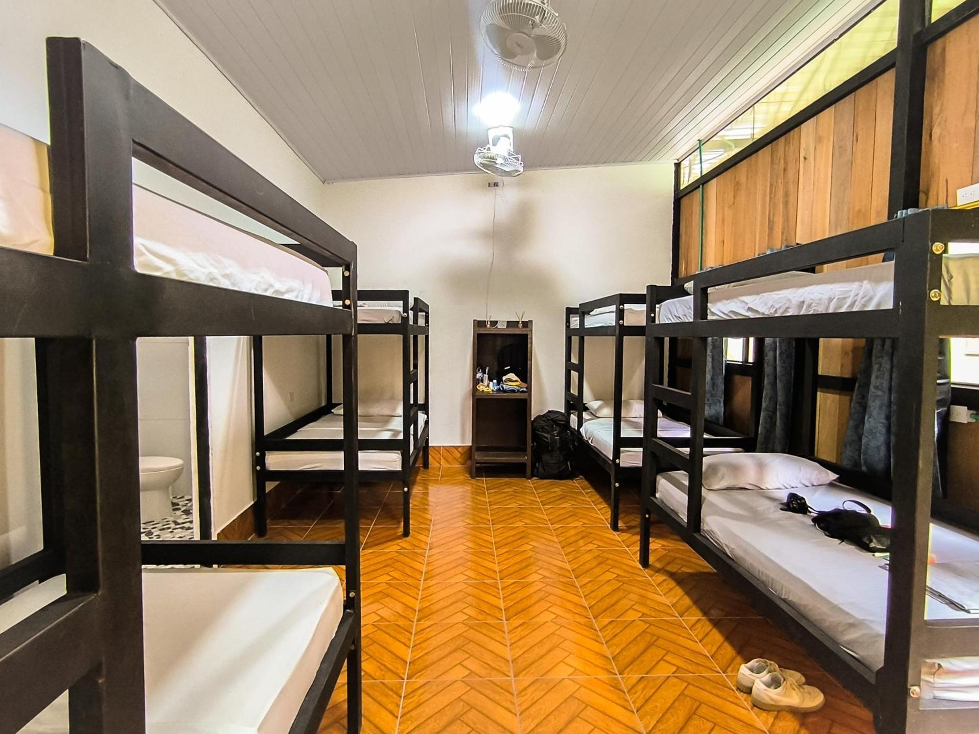 לטיסייה Hostel Casa De Las Palmas Tours מראה חיצוני תמונה