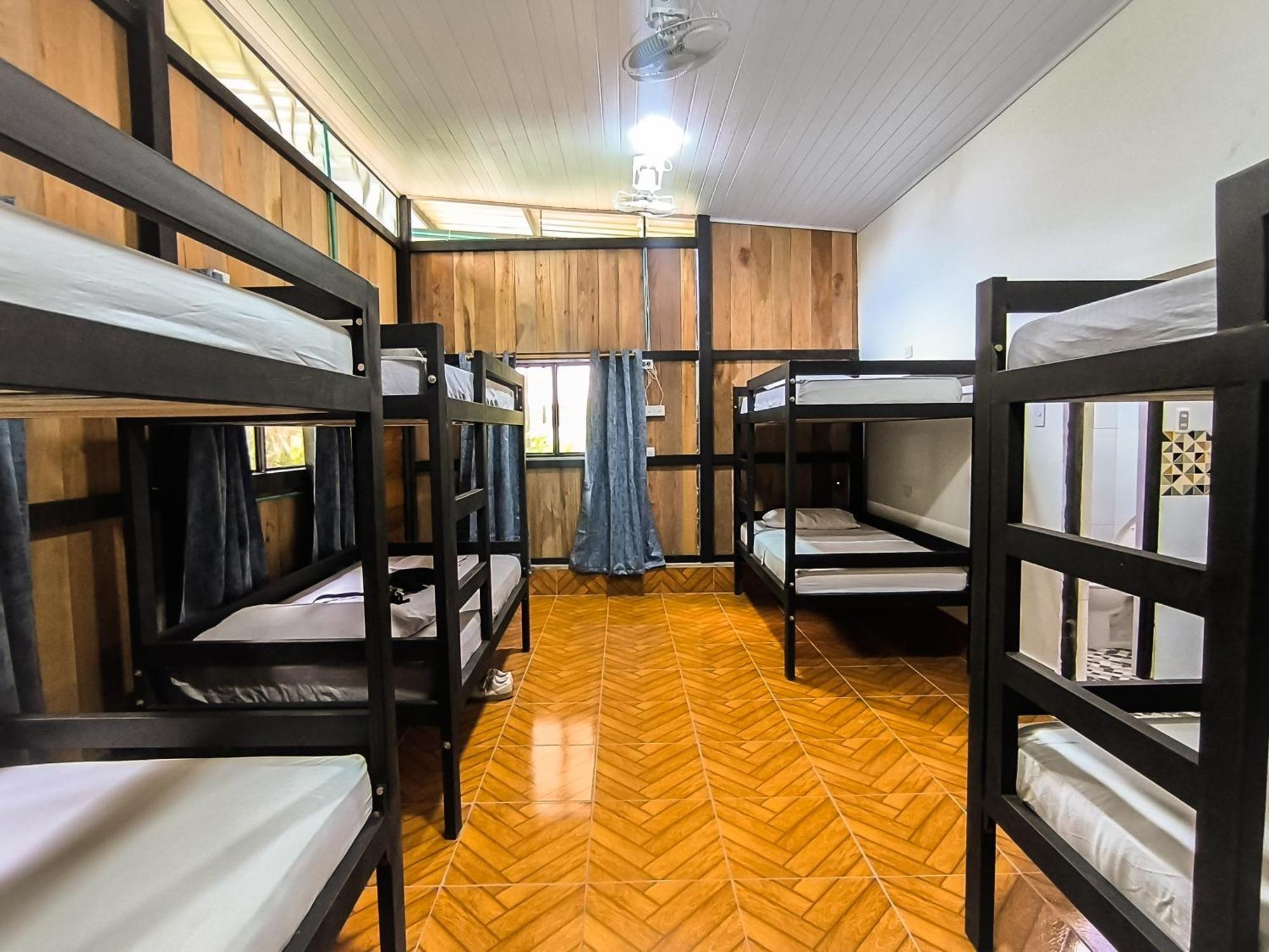 לטיסייה Hostel Casa De Las Palmas Tours מראה חיצוני תמונה